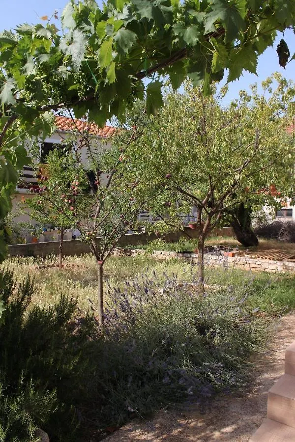 Apartments With A Parking Space Sali, Dugi Otok - 8136 Croatia